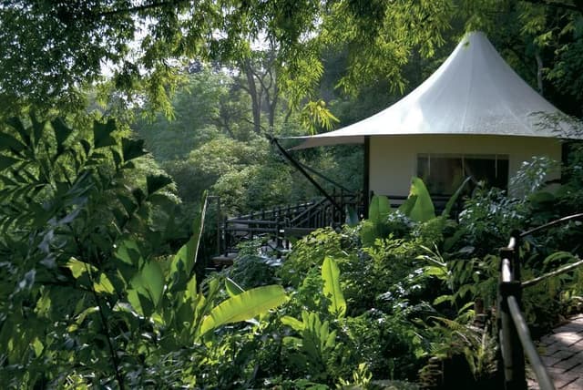 Tent DELUXE
