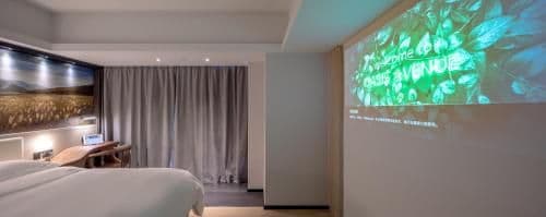 Home Theatre Room