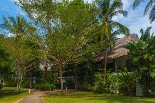 Double or Twin Room with Garden View