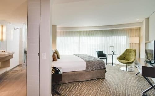 Deluxe Guest Room