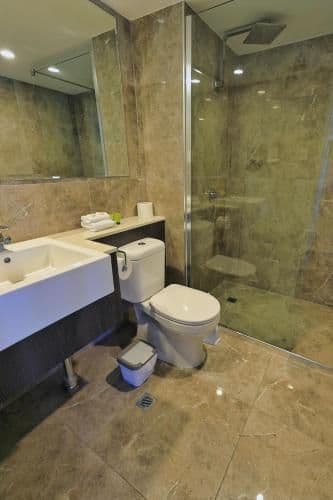 Deluxe One Bedroom Apartment