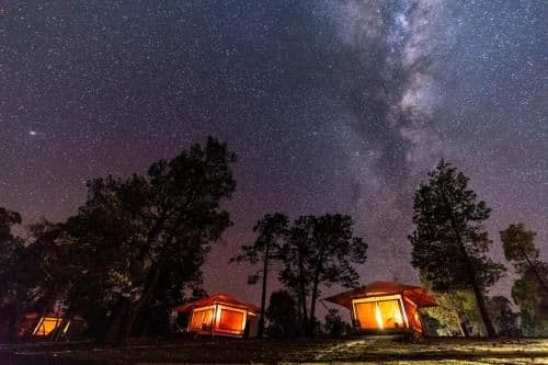 Safari Tent