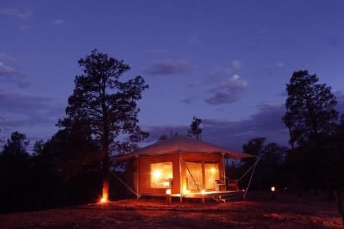 Safari Tent