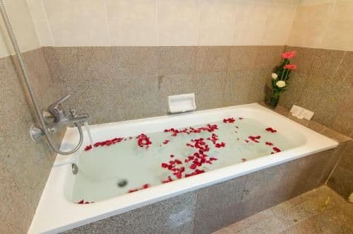 Deluxe Double or Twin Room with Balcony