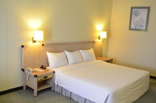 Deluxe Double or Twin Room with City View