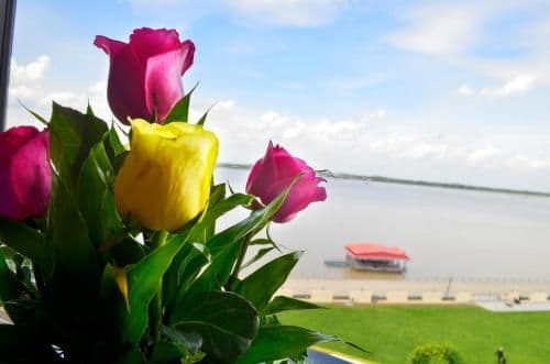 Superior Double or Twin Room with River View