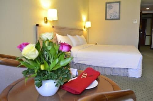 Superior Double or Twin Room with River View