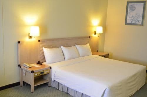 Superior Double or Twin Room with River View