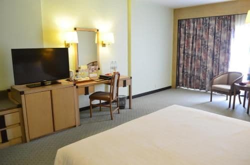 Superior Double or Twin Room with River View