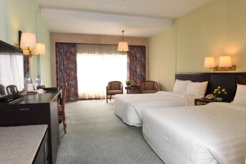 Deluxe Double or Twin Room with City View