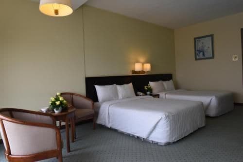 Deluxe Double or Twin Room with City View