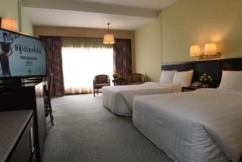 Deluxe Double or Twin Room with City View