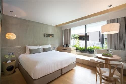 Plush Double or Twin Room