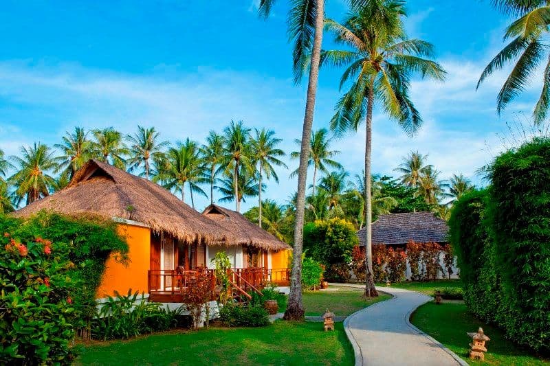 Elixir Koh Yao Yai