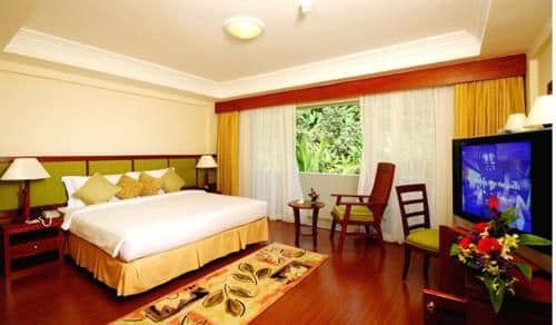 Deluxe Double or Twin Room