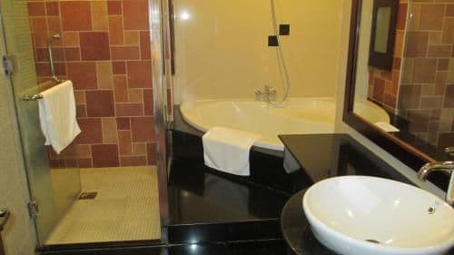 Deluxe Triple Room with City View