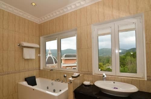 Deluxe Double or Twin Room with Pine Hill View