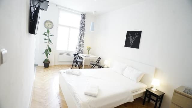 APARTMENT CAPACITY 2