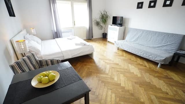APARTMENT CAPACITY 2