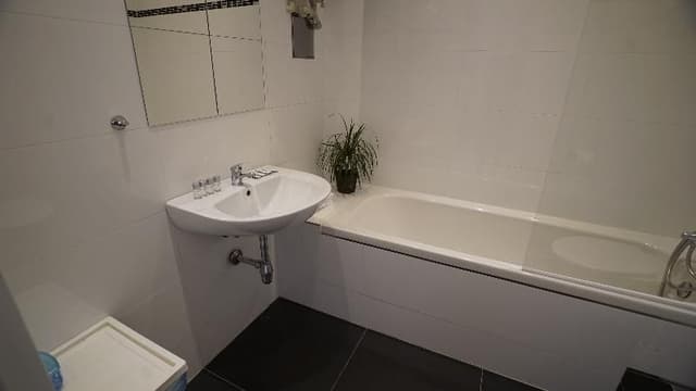 APARTMENT CAPACITY 4