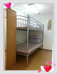 Bunk Bed in Male Dormitory Room