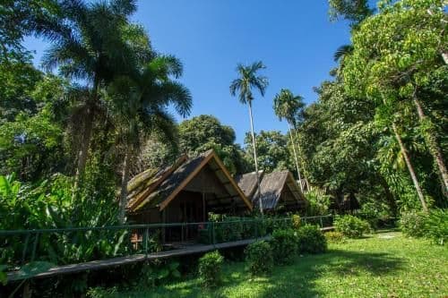 Deluxe Room with River Access