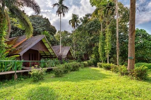 Deluxe Room with River Access