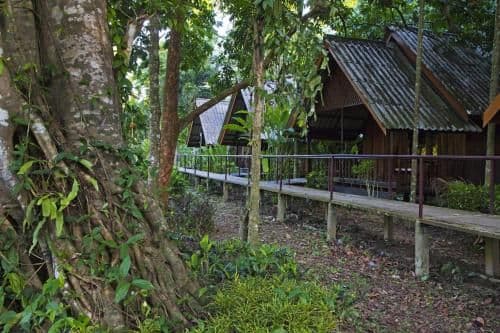 Deluxe Room with River Access