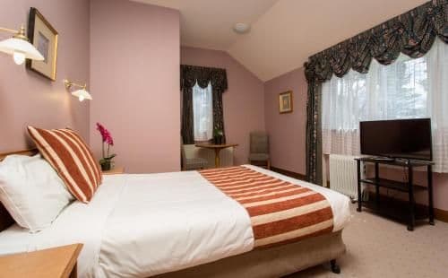 Superior Queen Room