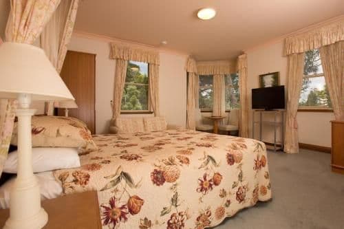 Superior Queen Room