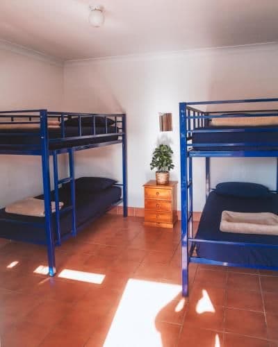 Bed in 4-Bed Mixed Dormitory Room