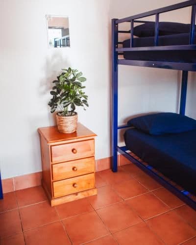 Bed in 8-Bed Mixed Dormitory Room