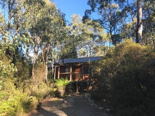 Stringybark
