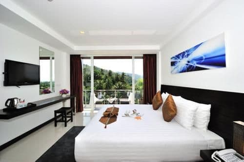 Deluxe Double or Twin Room