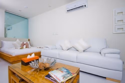 Studio Suite