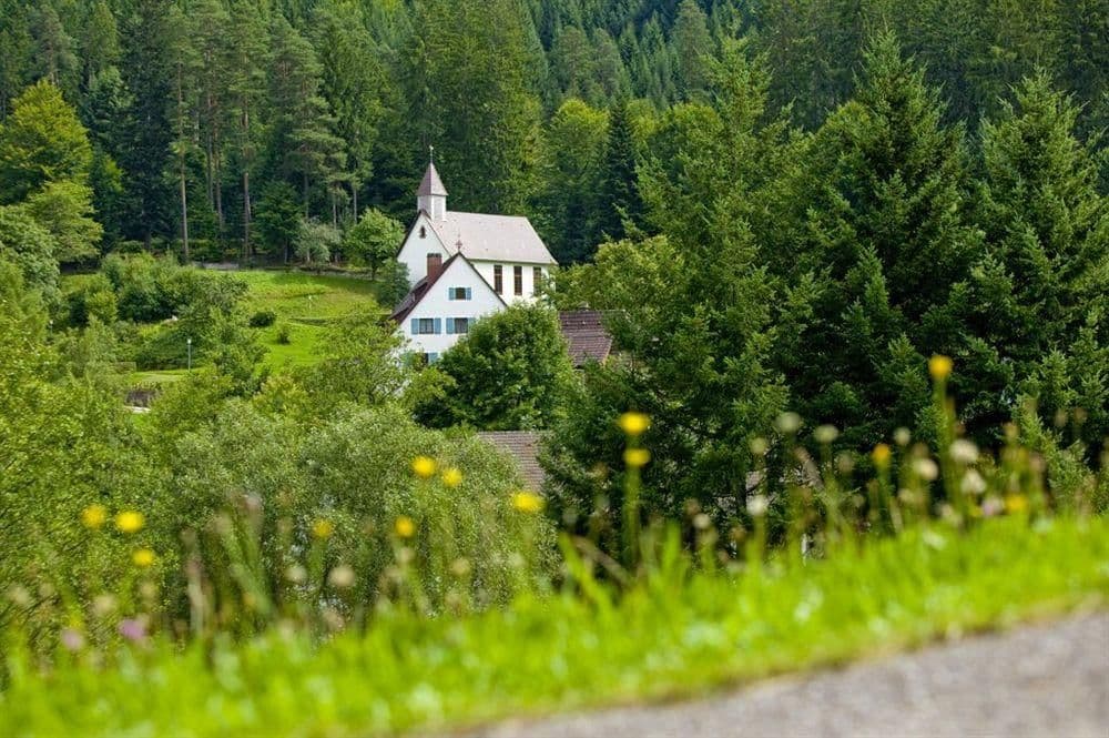 Hotel Terra Nova