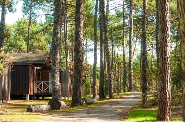 CHALET CAPACITY 6 TWO BEDROOMS