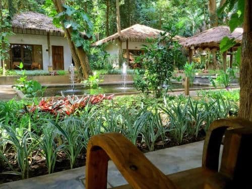 Superior Double Room with Garden View