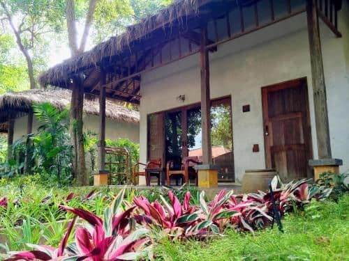 Superior Double Room with Garden View