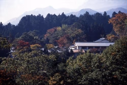 Superior Japanese-Style Room Renovated - Non-Smoking