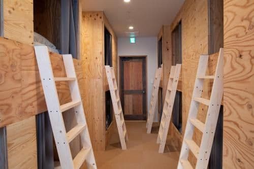 Bunk Bed in Female Dormitory Room