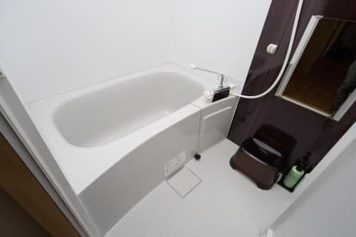 Japanese-Style Deluxe Room