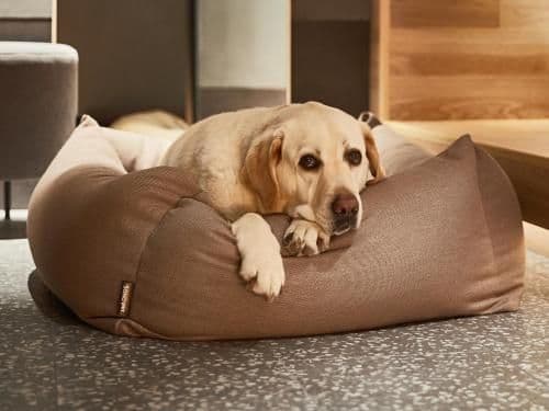 Sonobell Tower E Silver 2 bedroom Suite - Pet - Friendly
