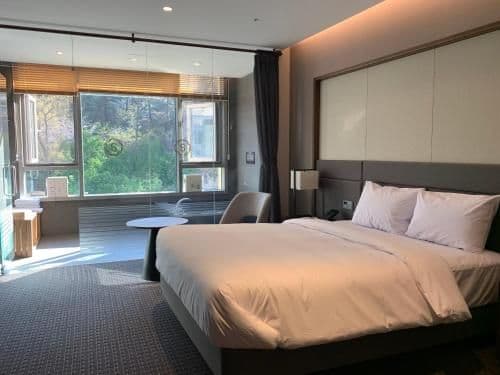 Double Room with Mountain View