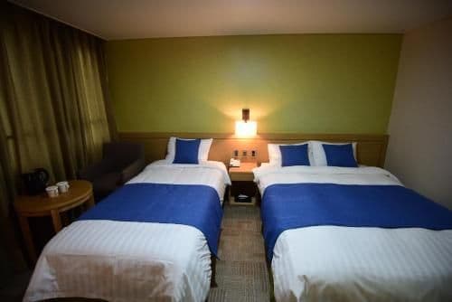 Standard Twin Room with Mountain View