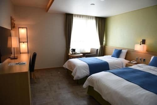Deluxe Twin Room with Partial Sea View