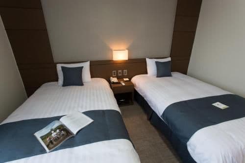 Standard Twin Room with Mountain View