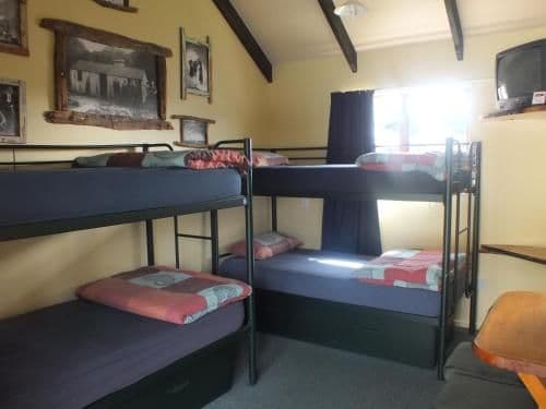 Bed in 4-Bed Mixed Dormitory Room with Private Bathroom