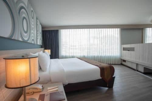 Deluxe King Suite