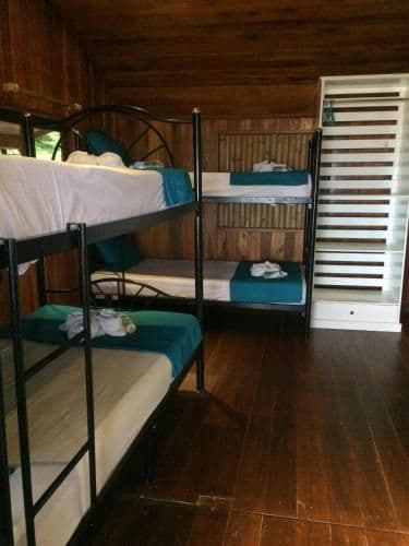 Bed in 8-Bed Dormitory Room